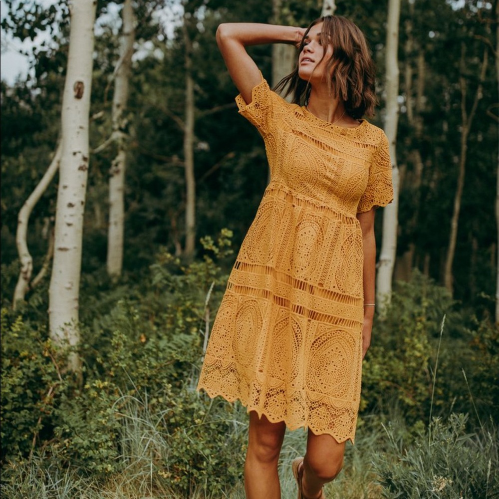 Piper and Scoot L Chenoa Lace Dress in Mustard